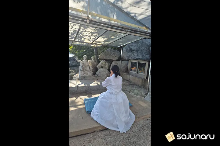 사주나루 동화꽃