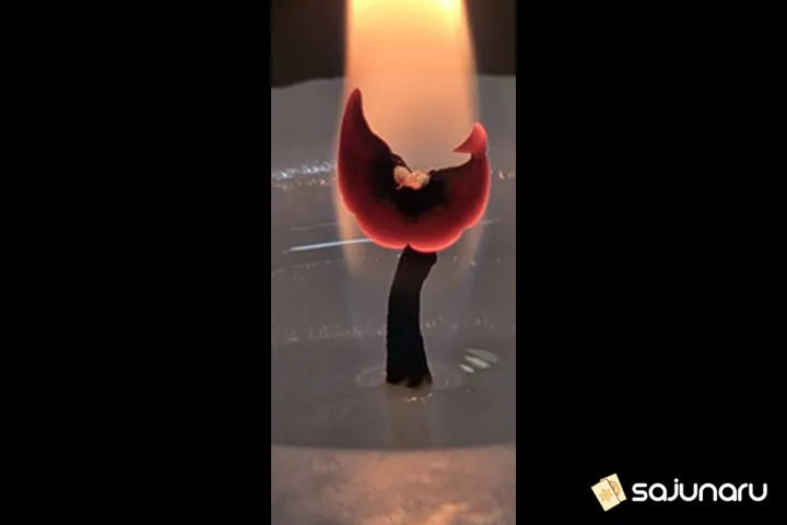 사주나루 무연아씨