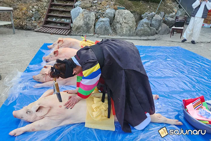 사주나루 태자비