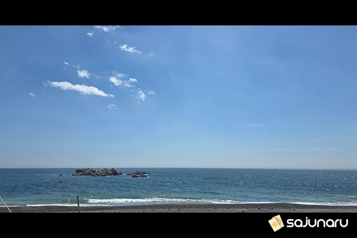 사주나루 꽃돼지동자