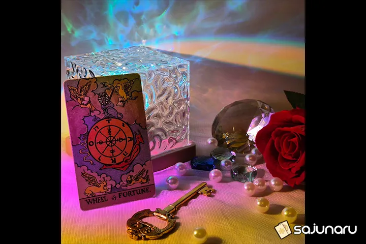 사주나루 테슬라