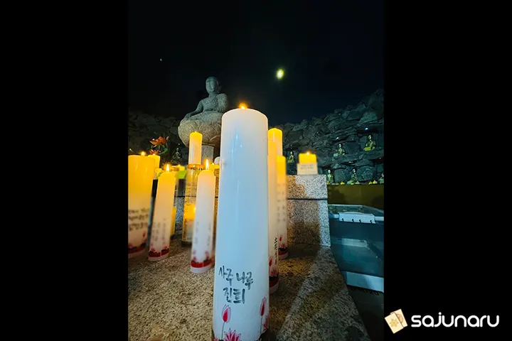 사주나루 진희