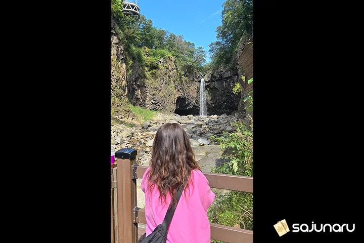 사주나루 매죽헌마마