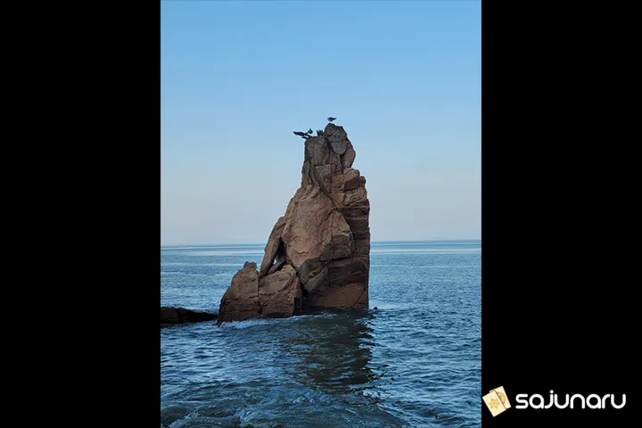 사주나루 천지신명당