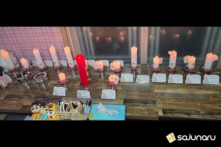 사주나루 장주현