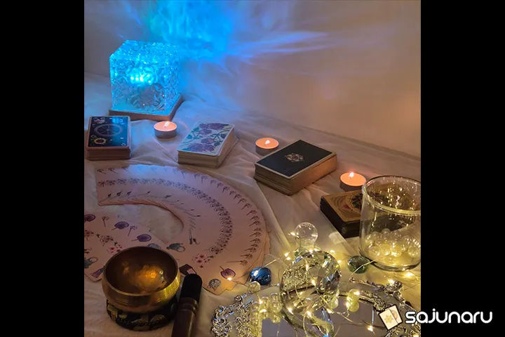 사주나루 테슬라