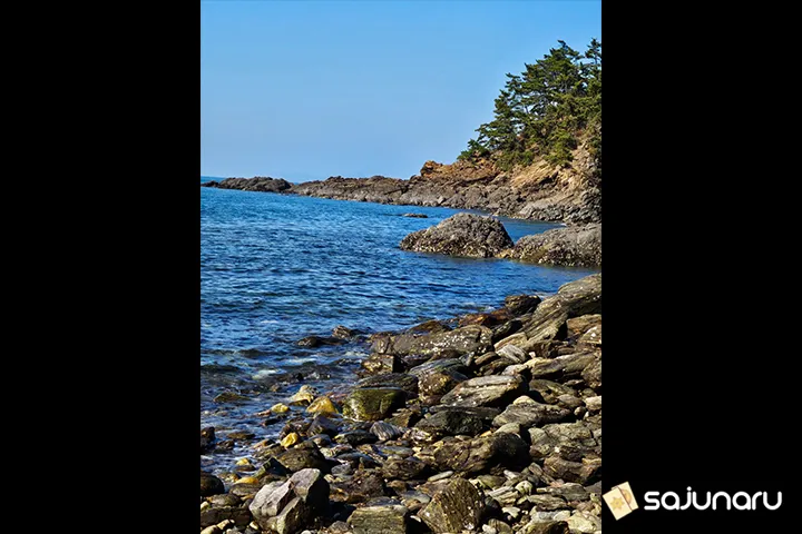 사주나루 명숙이모