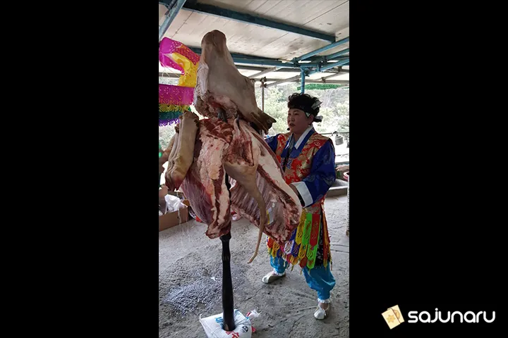 사주나루 천신도사