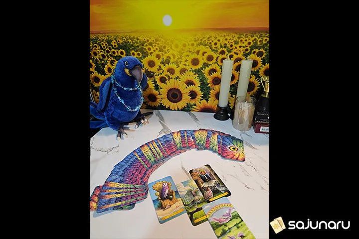 사주나루 낭중지추