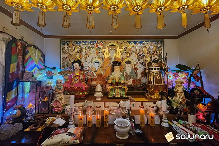 사주나루 초록나무