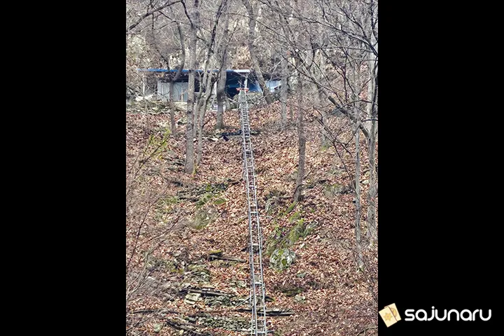 사주나루 명숙이모