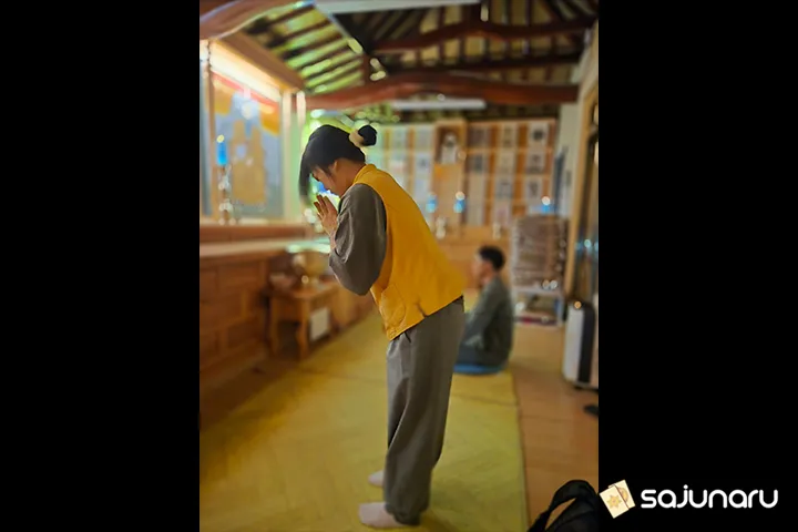 사주나루 동화꽃