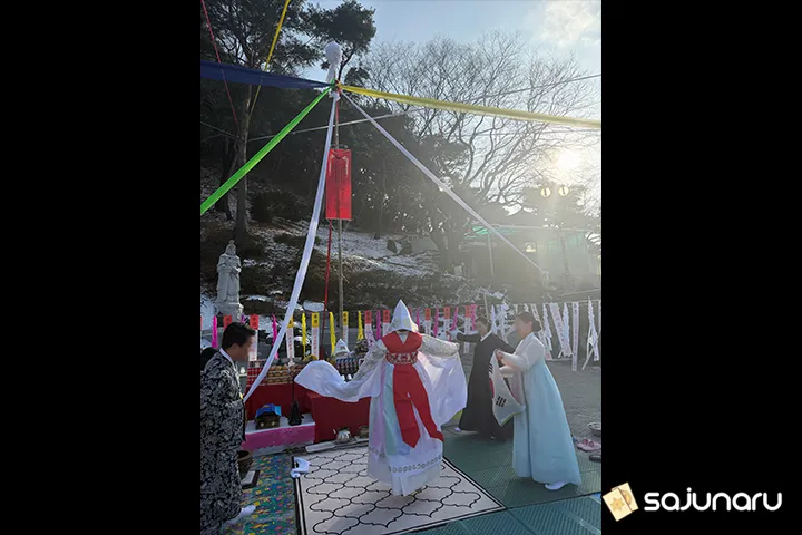 사주나루 백련화