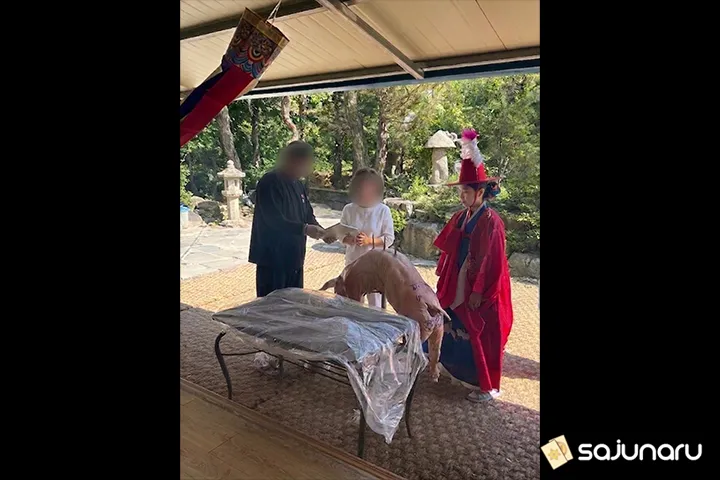 사주나루 오태양 채팅상담