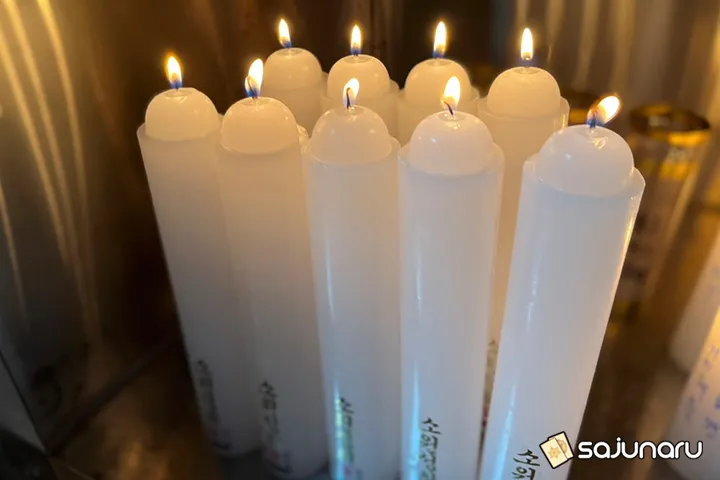 사주나루 구대박사