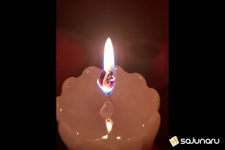 사주나루 진희