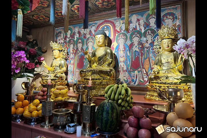 사주나루 노태산