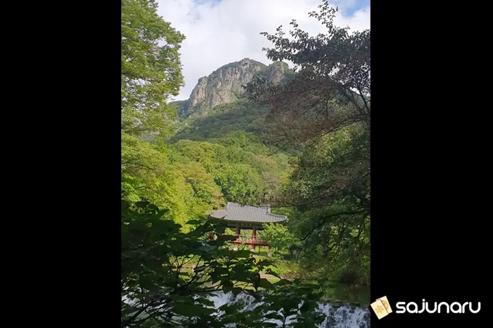 사주나루 관음선녀