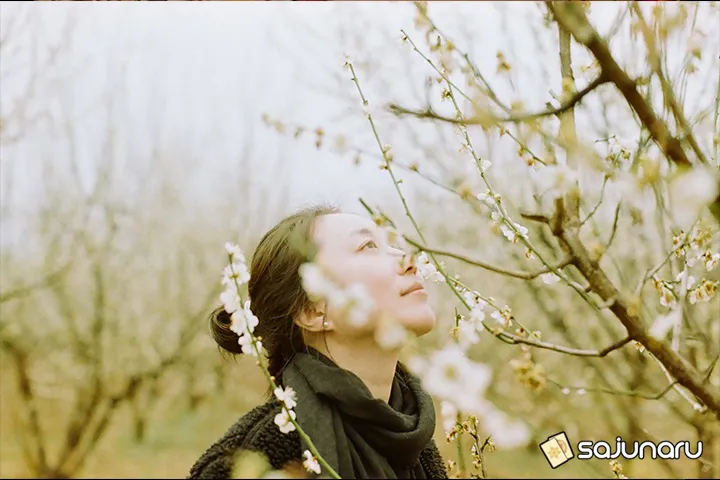 사주나루 꽃사슴