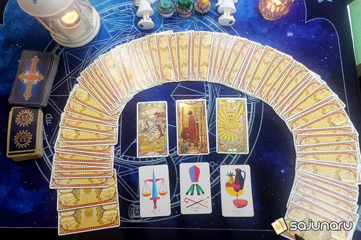 사주나루 용나무