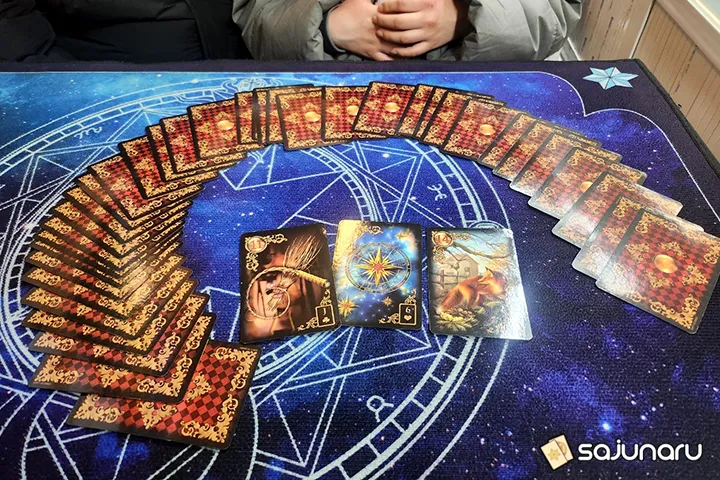 사주나루 용나무