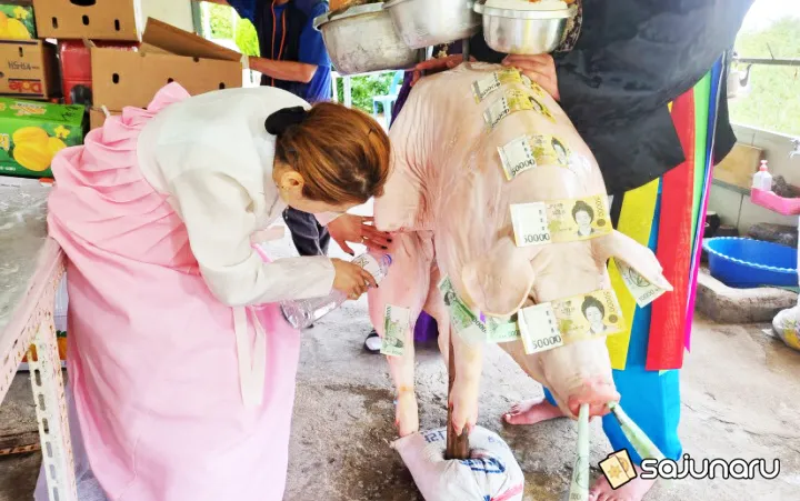 사주나루 청아 채팅상담